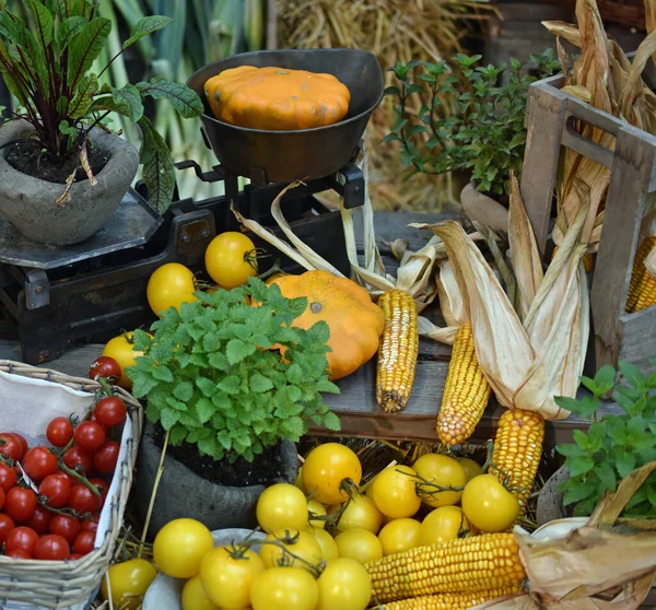Foto Mostra Legumes Mercado — Fotografia de Stock