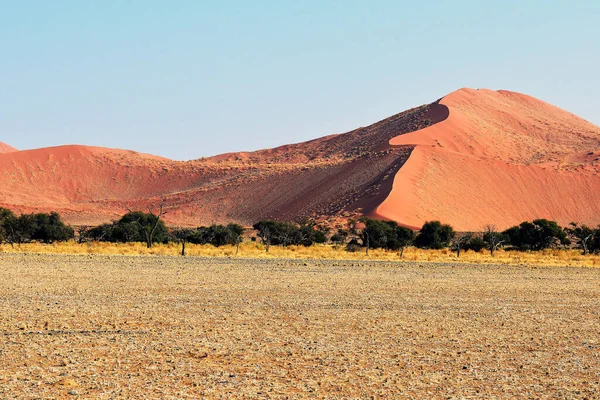 Naukluft National Park Namibia Sossusvlei — Stock fotografie
