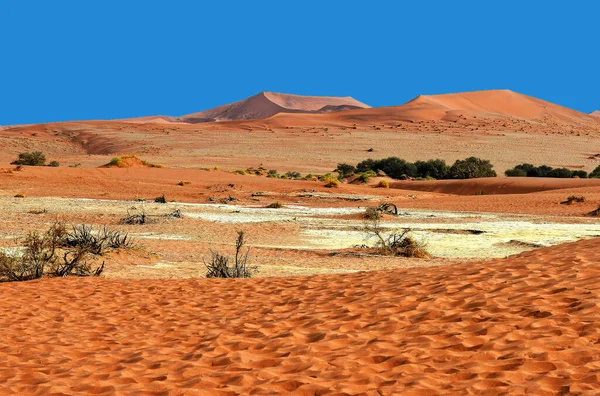 纳米布山谷 纳米巴 非洲的内盖夫沙漠美丽的风景 — 图库照片