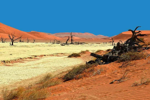 Naukluft National Park Namibia Dead Vlei Jest Glinianą Patelnią Pustyni — Zdjęcie stockowe