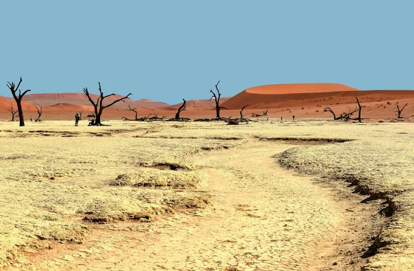 Parque Nacional Naukluft Namibia Dead Vlei Una Sartén Barro Desierto — Foto de Stock