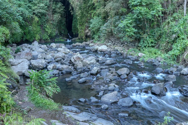 Cama Montanha Com Muitos Pedregulhos Erguendo Acima Superfície Selva Tropical — Fotografia de Stock