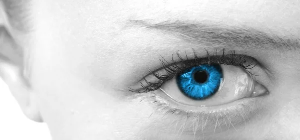 Nahaufnahme Eines Weiblichen Auges Mit Blauen Augen — Stockfoto