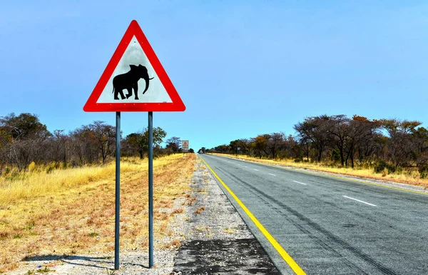 Señal Tráfico Africana Con Una Imagen Elefante Namibia — Foto de Stock