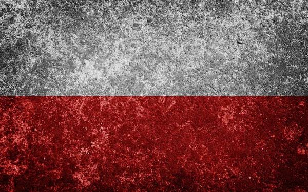 Σημαία Της Τσεχικής Δημοκρατίας — Φωτογραφία Αρχείου