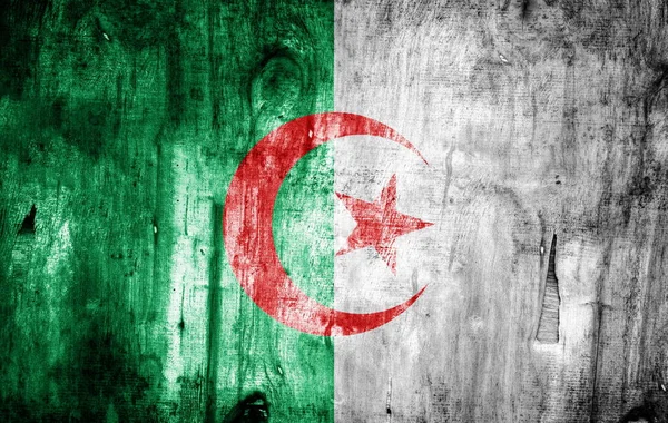 Bandiera Algeria Dipinta Grunge Texture — Foto Stock