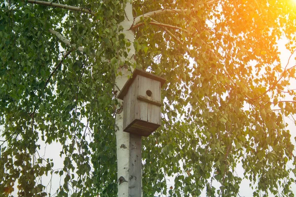 Domek Dla Ptaków Drzewie Parku — Zdjęcie stockowe