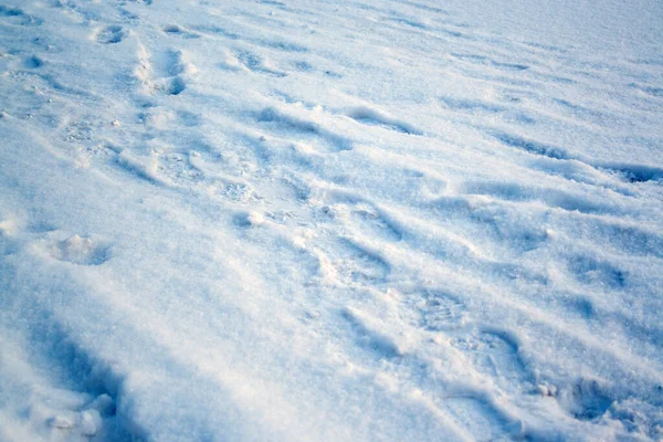 Neige Recouverte Mousse Blanche — Photo