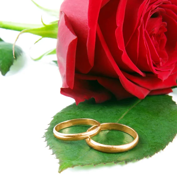 Two Wedding Rings Red Rose Gold Ribbon — Stock Photo, Image
