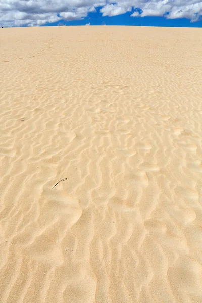 Sand Mönster Efter Vinden Naturreservatet Natural Park Corralejo Fuerteventura Kanarieöarna — Stockfoto
