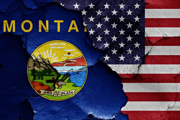 Flagi Montany Usa Malowane Pękniętej Ścianie — Zdjęcie stockowe