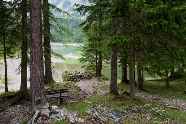 Der Schönste See Österreichs Grüner See — Stockfoto