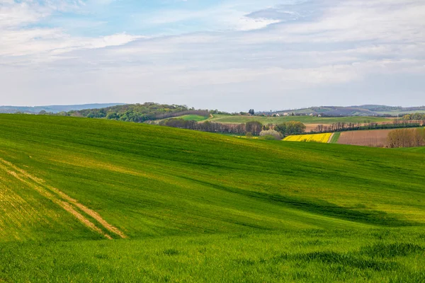 Pole Řepky Kanola Krásnou Oblačnou Krajinou Rostliny Pro Možnou Zelenou — Stock fotografie