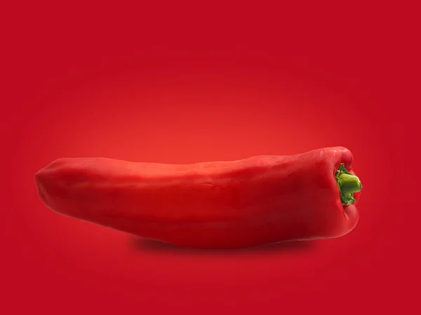 Een Biologisch Puntige Peper Een Rode Achtergrond Met Ruimte Voor — Stockfoto
