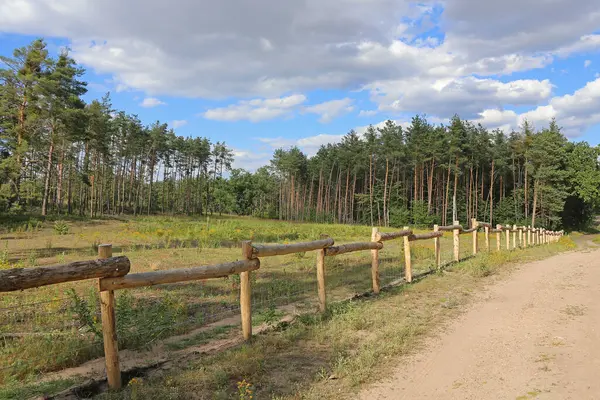 木製の柵で囲まれた美しい風景 — ストック写真