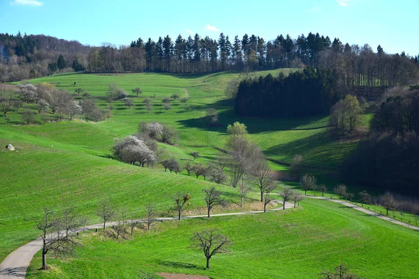 Kırsaldaki Yeşil Tepeler Ağaçlar — Stok fotoğraf