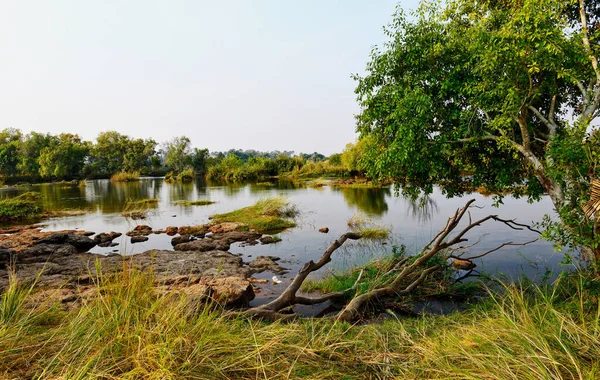 Річковий Ландшафт Замбезі Зімбабве — стокове фото