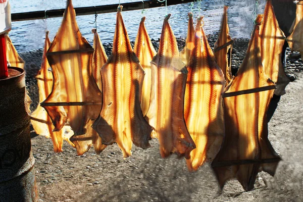 Fish, Beach, Sun, dry, dried fish, south, Food, coast