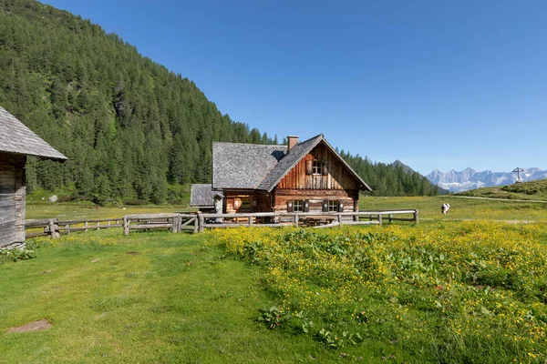 Alte Und Verwitterte Almhütte Österreich Europa Sommer — Stockfoto