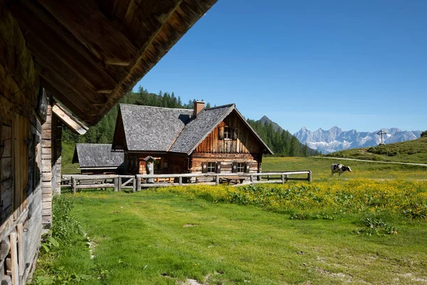 Stará Ošlehaná Alpská Chata Rakousku Evropě Létě — Stock fotografie