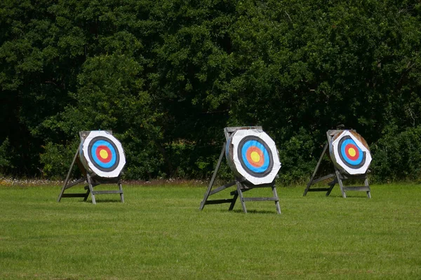 target with arrows on the green grass