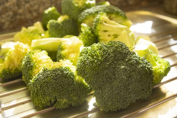 Broccoli Een Bord — Stockfoto