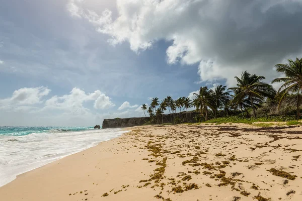 多云天气下的海底海滩 下湾是加勒比海巴巴多斯岛上最美丽的海滩之一 这是一个热带天堂 棕榈树悬垂在碧海之上 是一个海盗洞穴 — 图库照片
