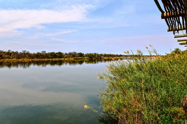 Namibya Daki Okavango Nehri Manzarası — Stok fotoğraf