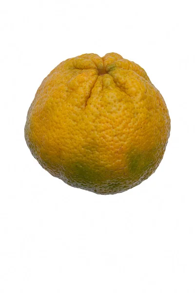Fresh Ripe Lemon Isolated White Background — Stock Photo, Image