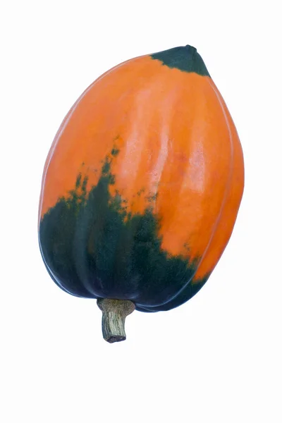 Zucca Isolata Sfondo Bianco — Foto Stock