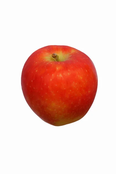 カンジ アップル マルス ドメスティカ ニコター ガラアップルとブレイブルンアップルのハイブリッド 白地に隔離されたリンゴのイメージ — ストック写真