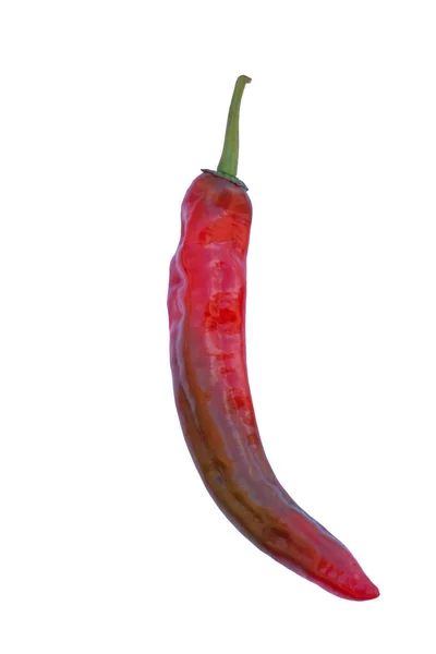 Pimiento Rojo Picante Aislado Sobre Fondo Blanco — Foto de Stock