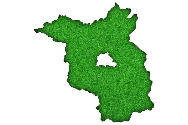 白底绿叶的爱尔兰地图 — 图库照片