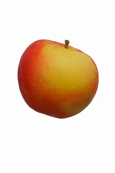 Μήλο Kanzi Malus Domestica Nicoter Υβρίδιο Μεταξύ Μήλου Gala Και — Φωτογραφία Αρχείου