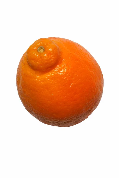 Свежий Оранжевый Белом Фоне — стоковое фото