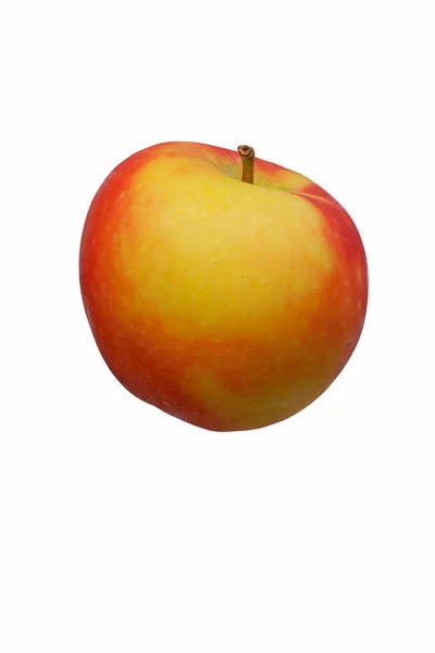 Kanzi Äpple Malus Domestica Nicoter Hybrid Mellan Gala Apple Och — Stockfoto