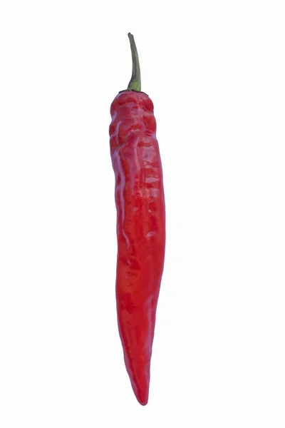 Red Hot Chilli Pepř Izolované Bílém Pozadí — Stock fotografie