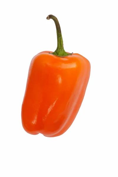 Pimiento Rojo Aislado Sobre Fondo Blanco — Foto de Stock