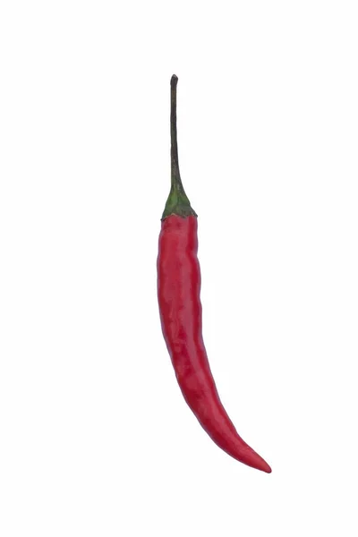 Rode Hete Chili Peper Geïsoleerd Witte Achtergrond — Stockfoto