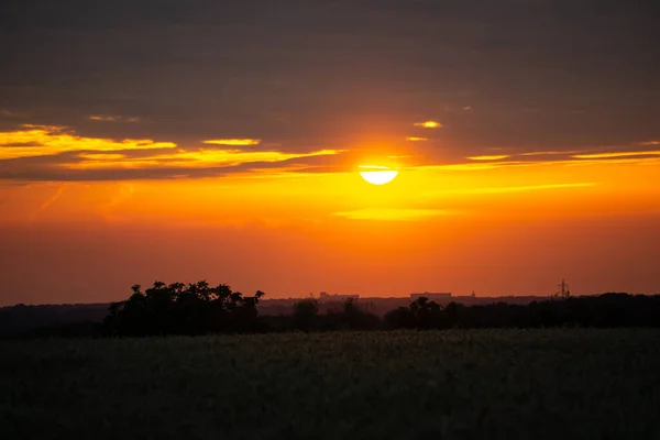 Schöner Sonnenuntergang Der Natur Mit Orangefarbenem Himmel — Stockfoto