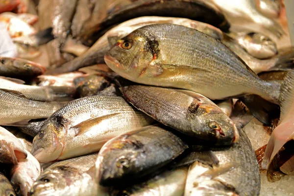 Mercat Boqueria Barcelonában Spanyolországban Híres Élénk Nyilvános Piac Amely Nem — Stock Fotó