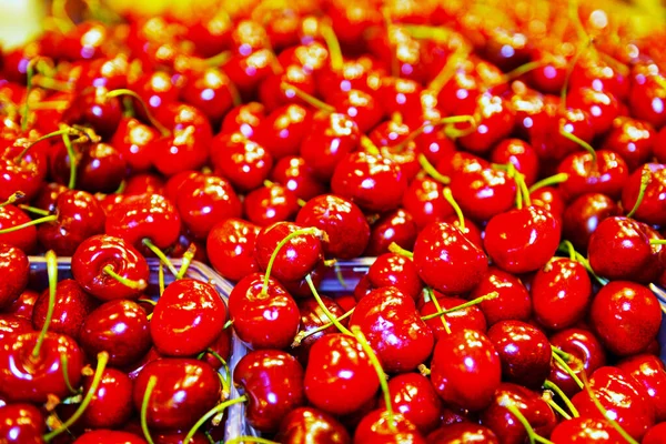 Mercat Boqueria Στη Βαρκελώνη Ισπανία Διάσημη Ζωντανή Δημόσια Αγορά Που — Φωτογραφία Αρχείου