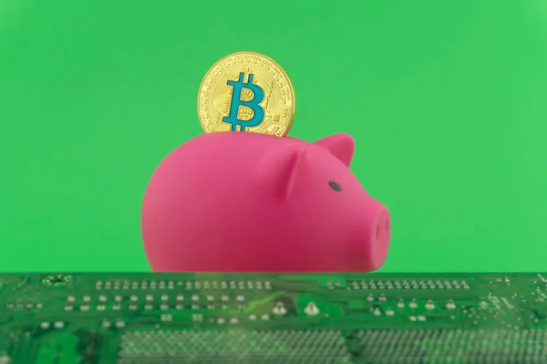 Sparen Mit Bitcoin Konzept Eine Virtuelle Goldmünze Wird Ein Rosafarbenes — Stockfoto