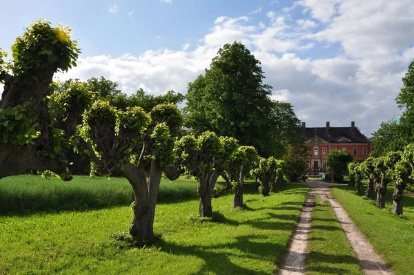 Prachtig Uitzicht Het Park — Stockfoto