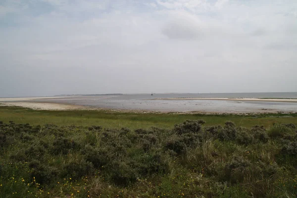 Marée Basse Sur Langeoog — Photo