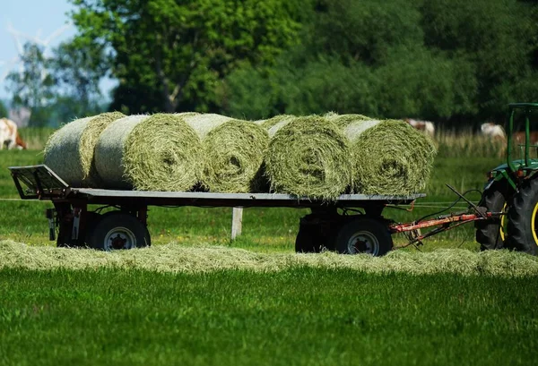 Traktor Mezőn Kék Alatt — Stock Fotó