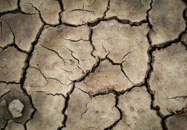 Textura Tierra Secada Por Sequía Grietas Tierra — Foto de Stock