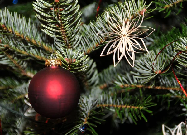 Weihnachtsbaum Mit Dekorationen Auf Dem Hintergrund Der Tannenzweige — Stockfoto