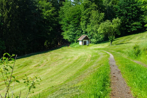 Vandring Till Gallner Summit Nära Stallwang Bayerska Skogen Tyskland — Stockfoto