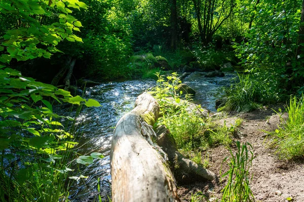 Hermosa Cascada Bosque — Foto de Stock